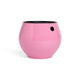 6 inch Aqua Core Self Watering Pot - Blush Pink
