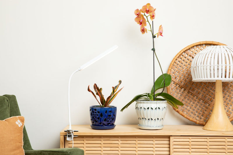 Lumina Latch - Full Spectrum LED Grow Light