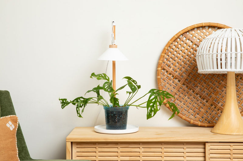 Lumina Glow - Full Spectrum LED Grow Light