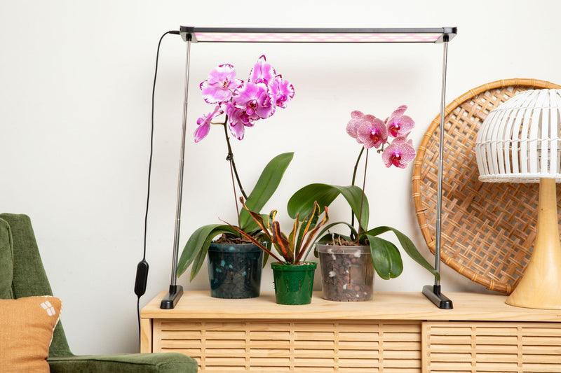 grow lights for indoor plants full spectrum Lumina Expanse