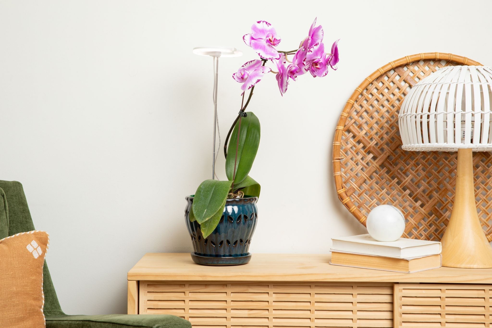 Lumina Orchid - Full Spectrum LED Grow Light – Wild & Son