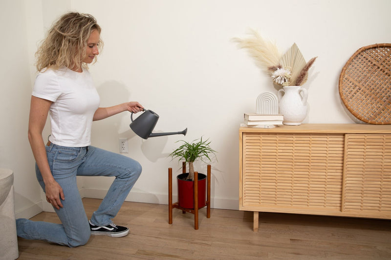 8 inch Aqua Core Self Watering Pot - Ruby Red