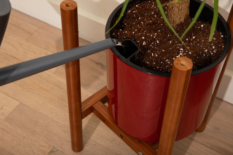 8 inch Aqua Core Self Watering Pot - Ruby Red