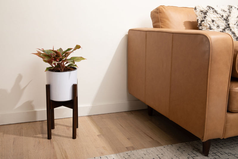 8 inch Aqua Core Self Watering Pot - Designer White