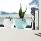 6 inch Aqua Core Self Watering Pot - Designer White