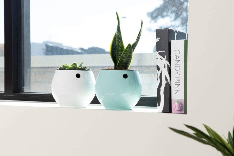 6 inch Aqua Core Self Watering Pot - Ocean Blue