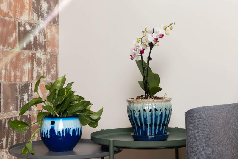 6 inch Aqua Core Self Watering Pot - Blizzard Blue