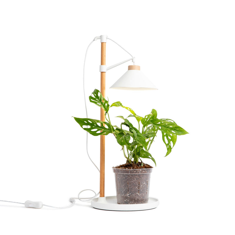 Lumina Glow - Full Spectrum LED Grow Light