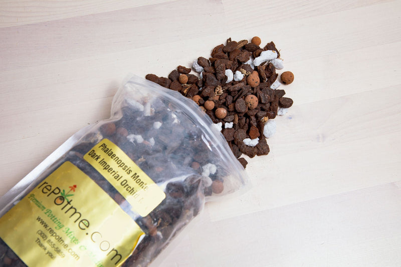 Phalaenopsis Monterey Dark Imperial Orchid Potting Mix