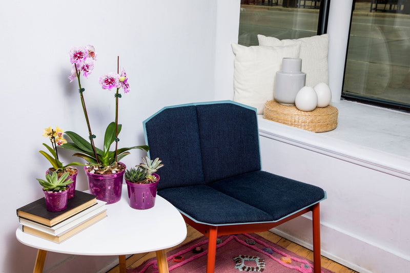 6 inch Slotted Orchid Pot (6 Pack)