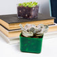 3" Green Emerald Succulent Pot