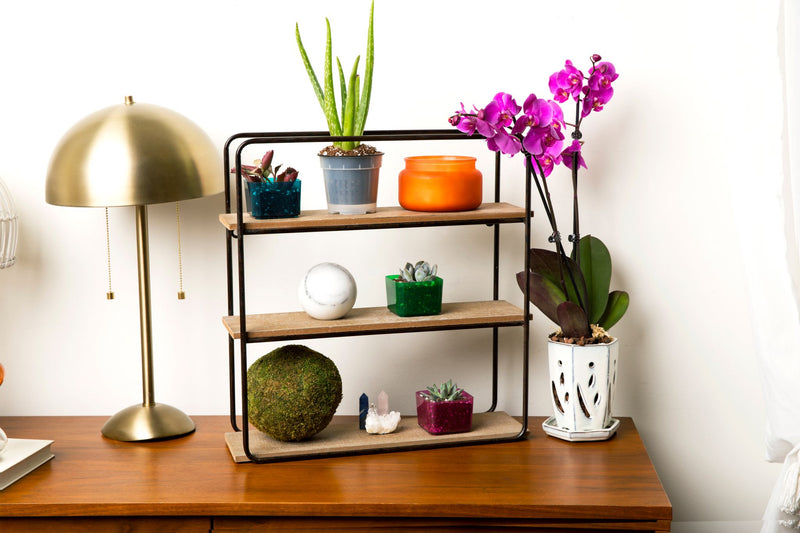 3" Blue Sapphire Succulent Pot