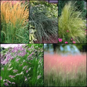 2023-Spring-Grass-Starter-Garden-Collection