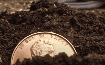 Garden Truth or Myth: Pennies for Hydrangeas