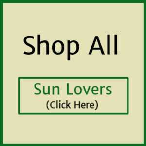 banner-sun-lovers